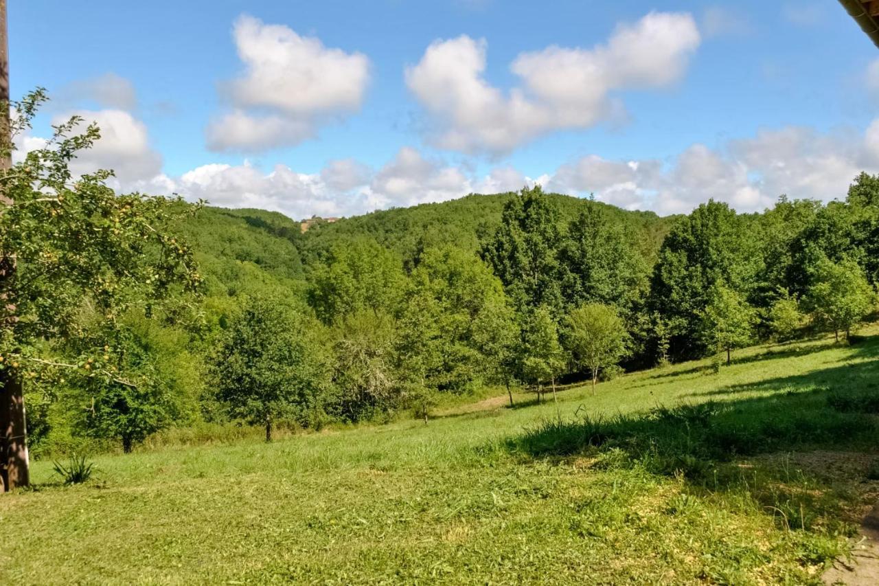 Ancienne Sechoir A Tabac Idealement Place A Limeuil Pour 4 Dans La Nature Екстериор снимка